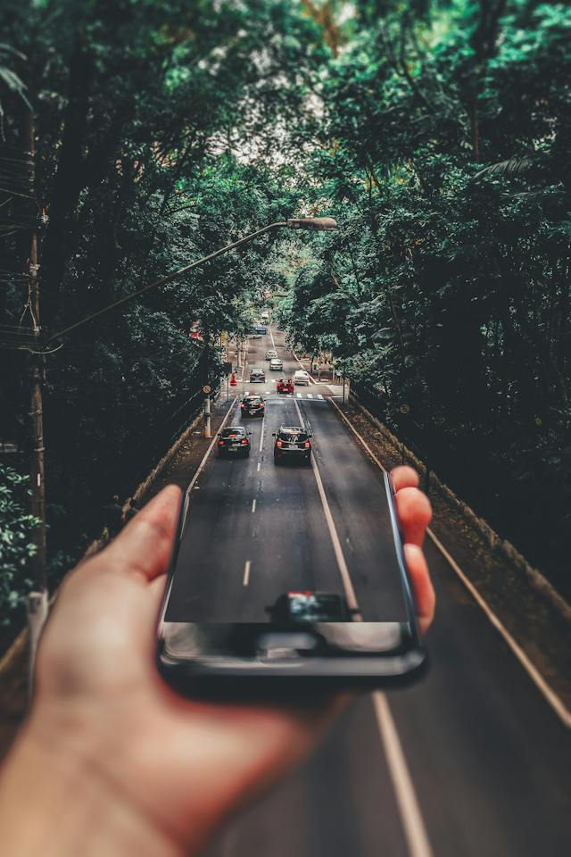 pexels-matheus-bertelli-799443
